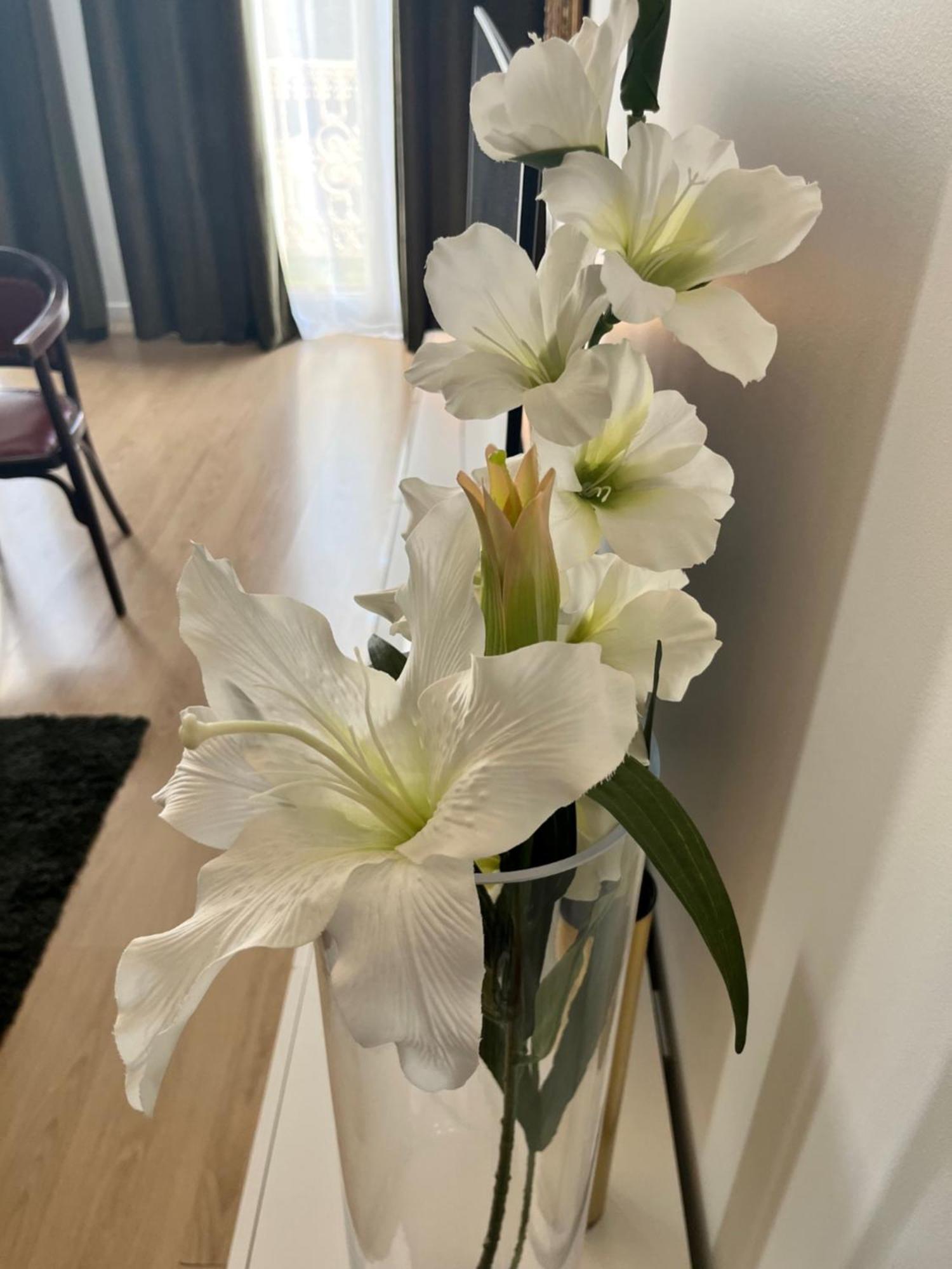 Vigne Et Mer-Spacieux Appartement Haussmannien-2Chambres-Wifi Beziers Ngoại thất bức ảnh